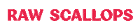 Scallops Skalrvk Sticker by Skál!