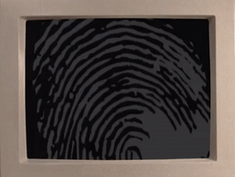 the mystery files of shelby woo nicksplat GIF