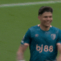 Happy Premier League GIF by AFC Bournemouth
