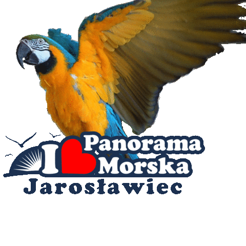 panoramamorska giphyupload wakacje all inclusive allinclusive Sticker
