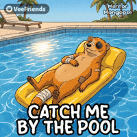 Catch Me Swimming GIF by VeeFriends