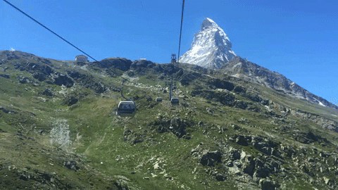 Londynka giphyupload GIF