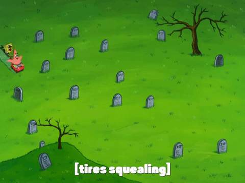 season 7 the curse of bikini bottom GIF by SpongeBob SquarePants