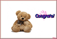 Teddy Bear Congrats GIF