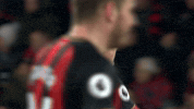 Football Soccer GIF by AFC Bournemouth
