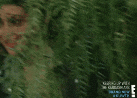 Kim Kardashian Comedy GIF