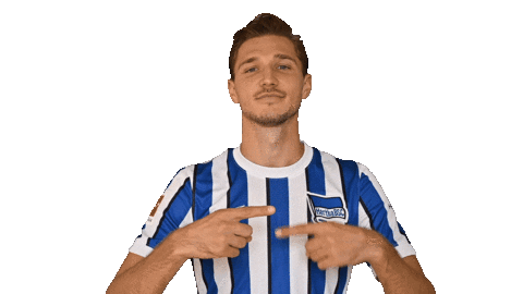 Niklas Stark Facepalm Sticker by Hertha BSC