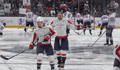 Washington Capitals Hockey GIF