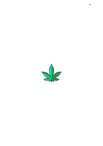 Smoke Weed Sticker