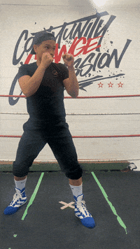 quinitboxing  GIF
