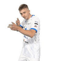 Sport Volleyball Sticker by Ślepsk Malow Suwałki