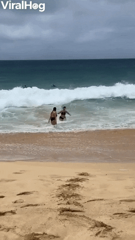 Strong Wave Slams Unprepared Swimmer Into The Sand GIF by ViralHog