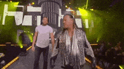 Chris Jericho ÄEw GIF by All Elite Wrestling on TNT