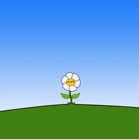 Hallvaror_  GIF