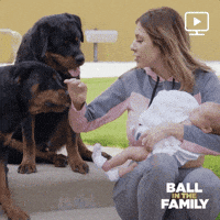 season 3 facebook watch GIF by Ball in the Family