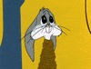 looney tunes awn GIF