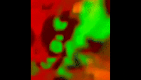 satisfying los angeles GIF by MUTANT MAGIC