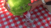 Sick Watermelon GIF by Mark Rober