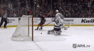 happy ice hockey GIF by NHL
