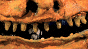 stop motion animation GIF by Charles Pieper