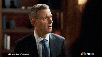 Season 24 Nbc GIF by Law & Order