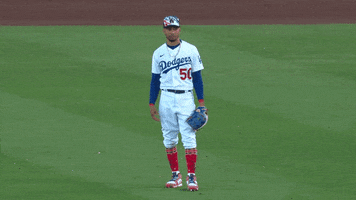 Major League Baseball Whatever GIF by MLB