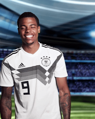 sportschau sticker germany uefa deutschland GIF