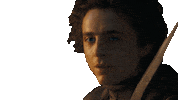 Timothee Chalamet Sword Sticker by Warner Bros. Pictures