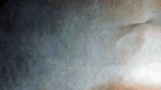 GIF by Alex Boya