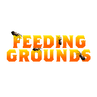 Music Festival Escape Sticker by Insomniac Events