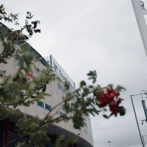 Windy GIF by Bolton Wanderers FC