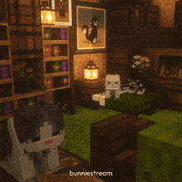 Cat 猫 GIF