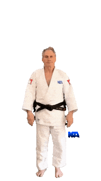 Martial Arts Judo Sticker by NA Effective Fighting