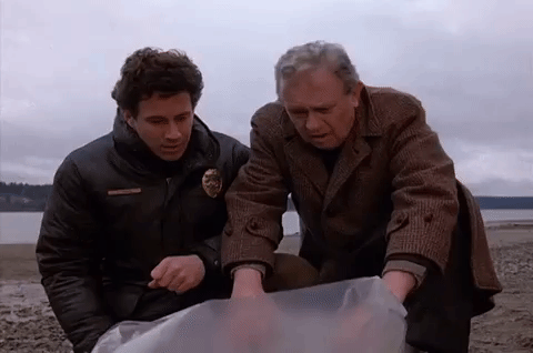 season 1 GIF by Twin Peaks on Showtime