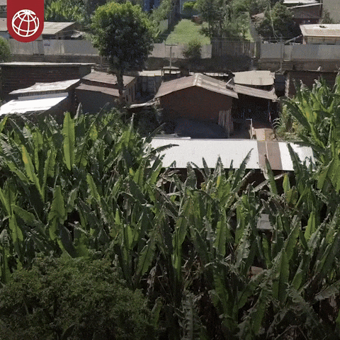 Renewable Energy Africa GIF by World Bank