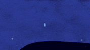 irenefeleo nature ocean swimming whale GIF
