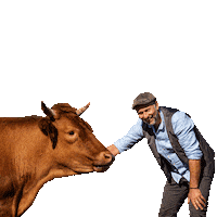 Kuh Bauernhof Sticker by Freiraum Fichtelgebirge