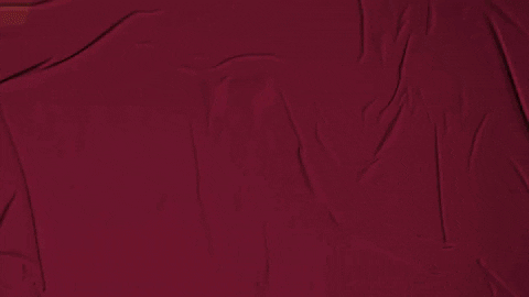 College Baseball GIF by Pearl River Athletics