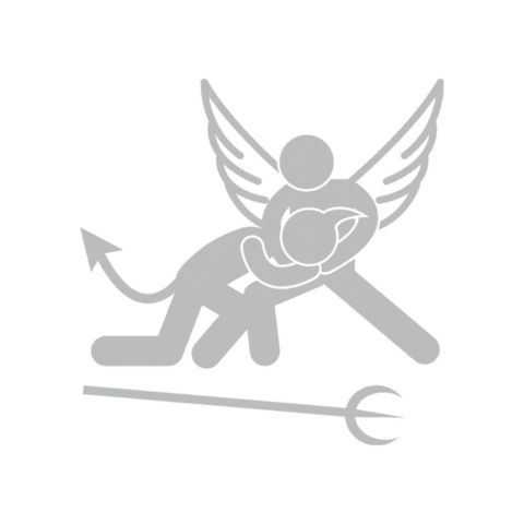 Fight Angel Sticker