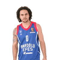 Sport Basketball Sticker by Anadolu Efes SK