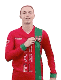 Haarlem Sticker by DSS Voetbal