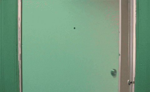 Daddys Home GIF by St. Vincent