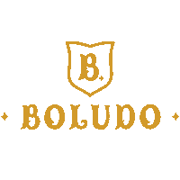Boludo Sticker by boludoempanadas