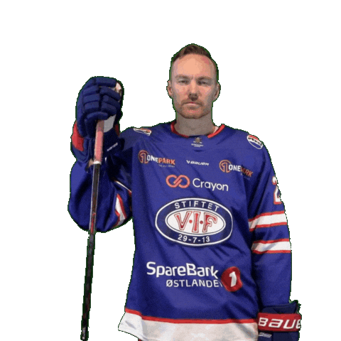 Match Daniel Sticker by VIF Hockey