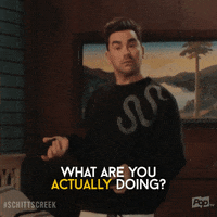 David Rose GIF by Schitt's Creek