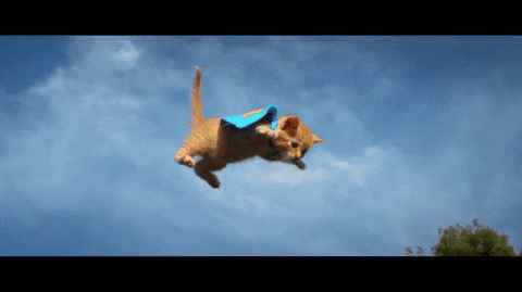 video day GIF