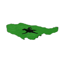 Turukflags GIF