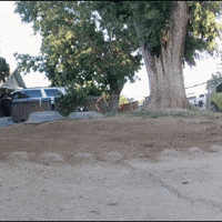 Double Trouble GIF