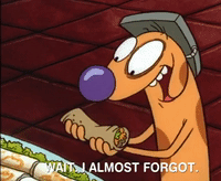 nicksplat GIF