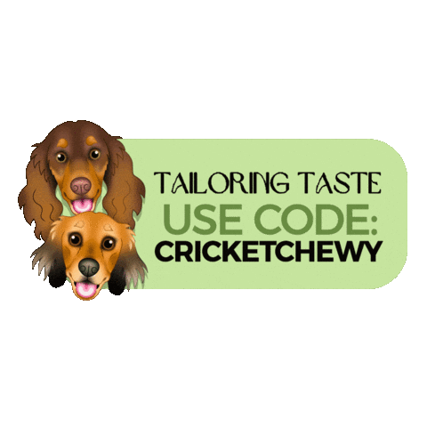 Cricket Mushu Sticker by zoopeez